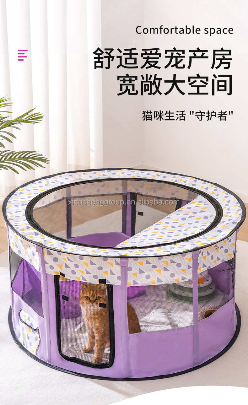 Pet outdoor product display