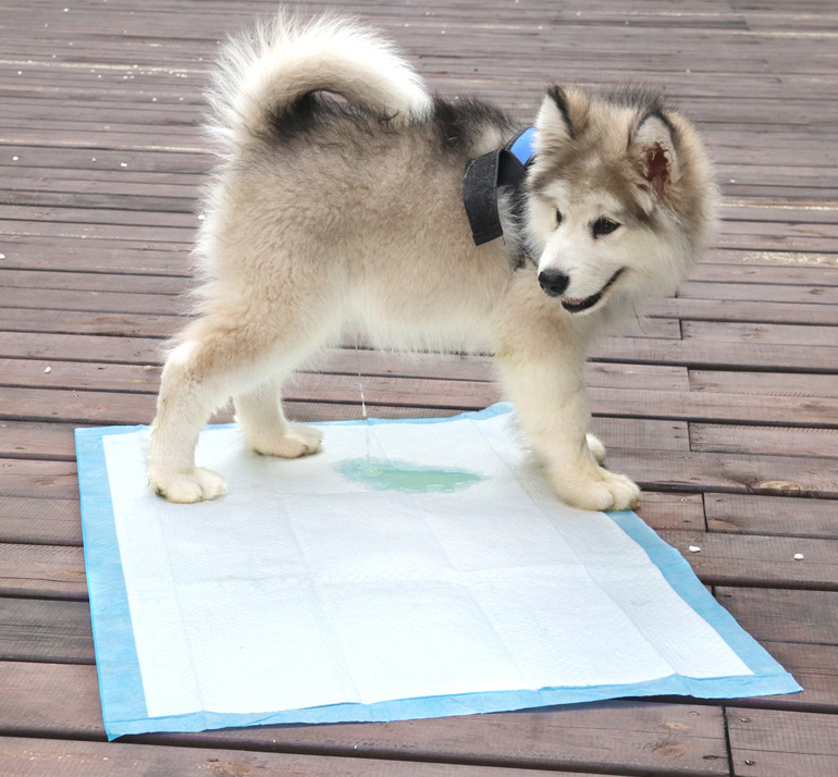 Wholesale Highly Absorbent Disposable Leakproof Pet Training Mat Dog Floor Diapers