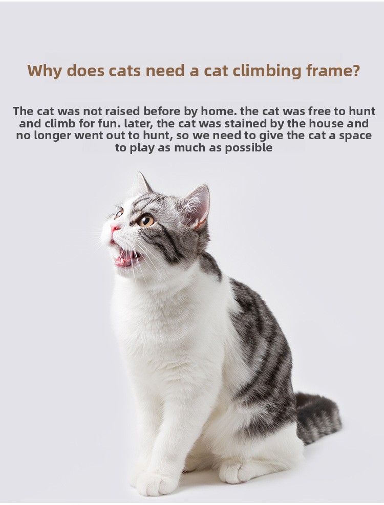 Pet Supplies Super Large Cat Climbing Frame