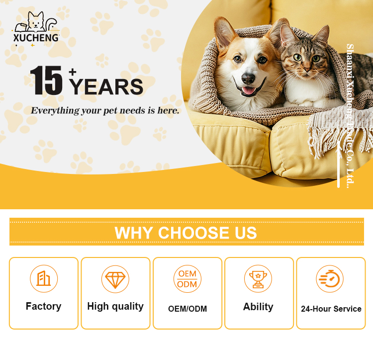 Pet Product Showcase 1