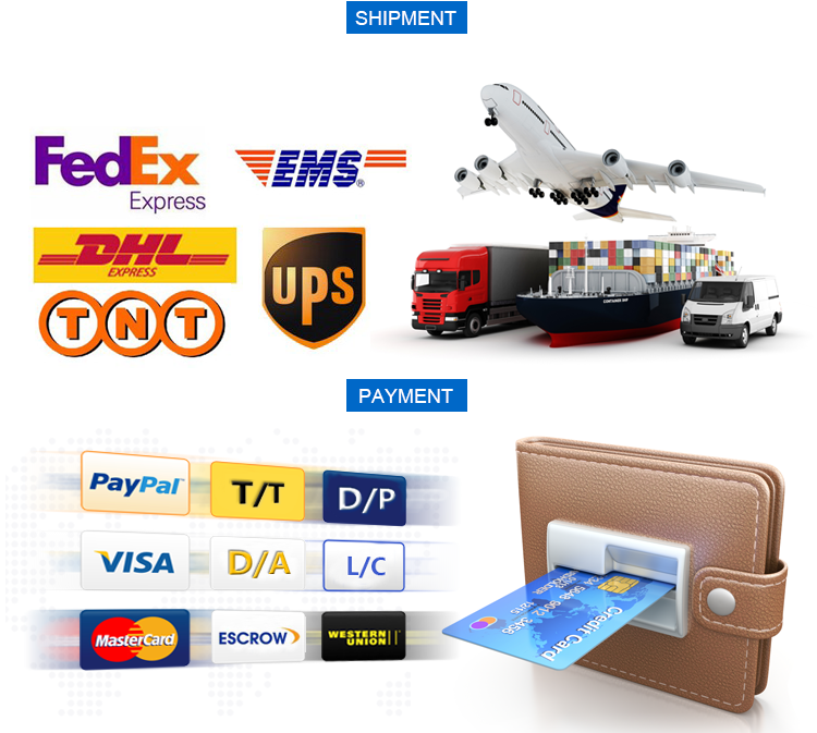 Shipping and Payment Methods