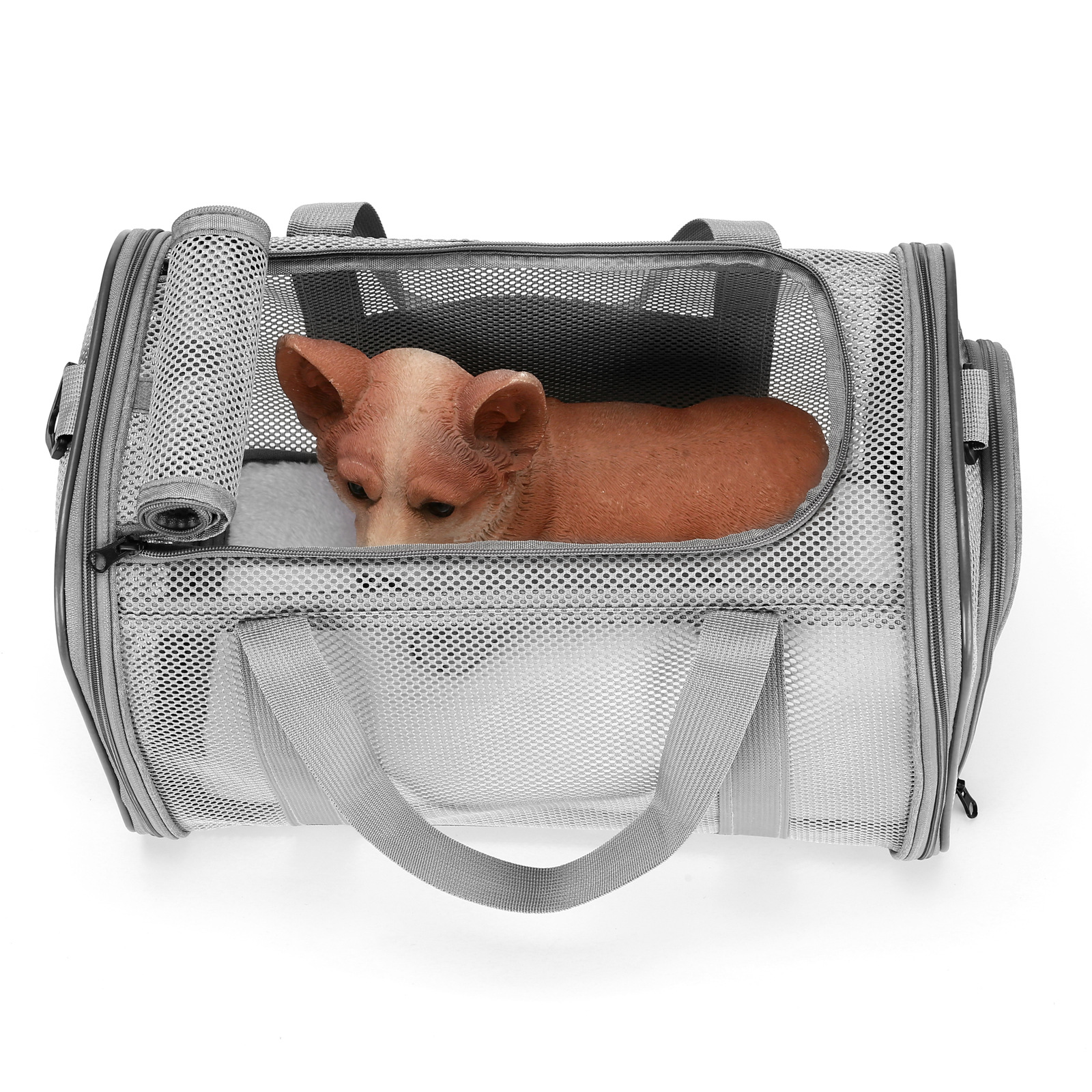 Pet Carrier View 2