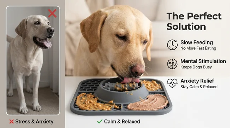Enrichment Solution