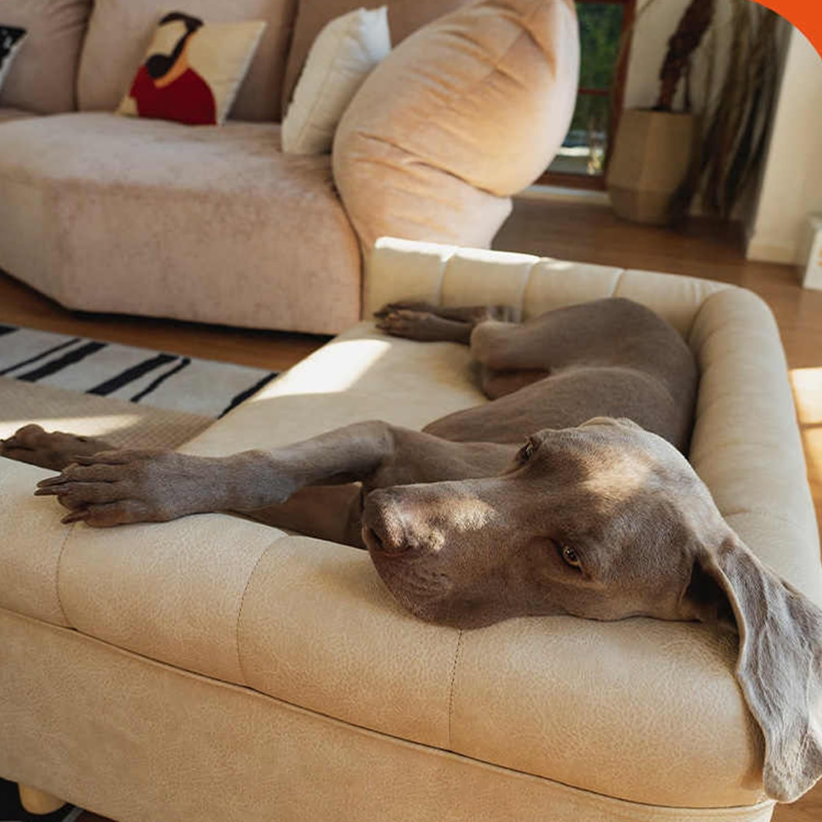 Wooden Pet Sofa Bed for Large Dogs &amp; Cats, Removable Washable Elevated Dog Bed with Wood Frame, All-Season Pet Bed