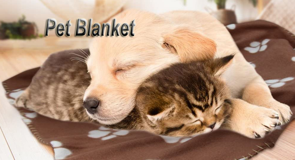 Pet Blanket Banner
