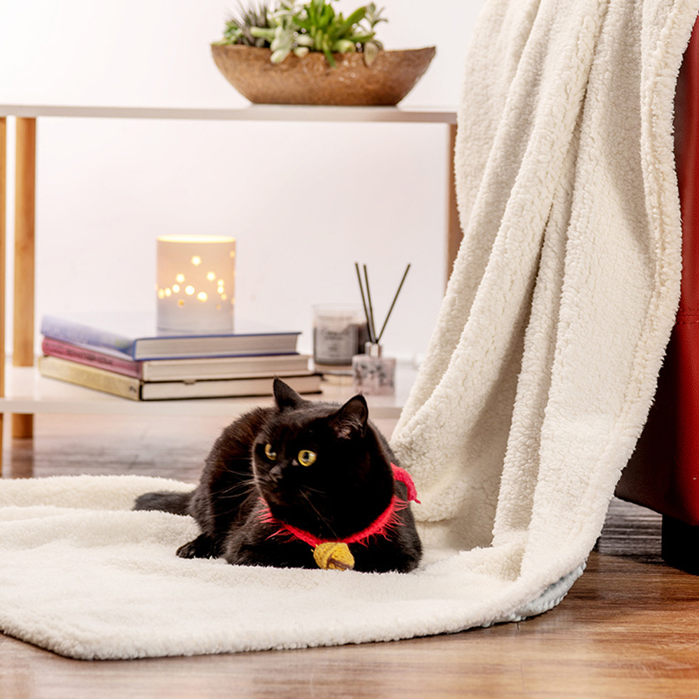 Double-Sided Velvet Soft Fluffy Pet Blanket Washable Foldable Cozy Warm Throws For Dogs And Cats
