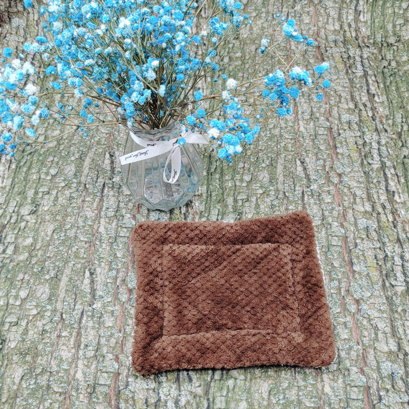 Pet Mat Gallery 5