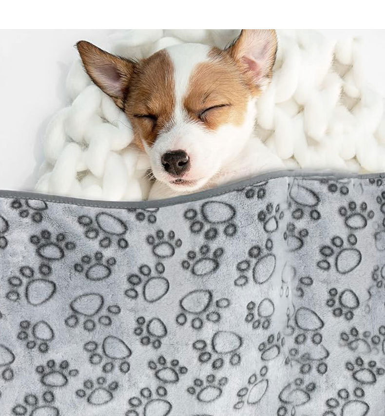 Pet Blanket View 5