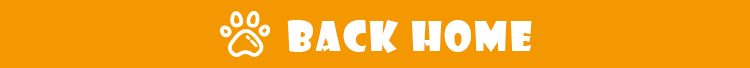 Footer Banner