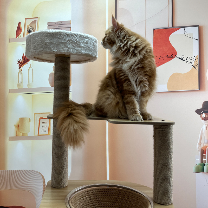 Multi Cat Tree With 4 Condos 6 Platforms Sisal Scratching Posts Non Toxic Materials And Easy Assembly Guide