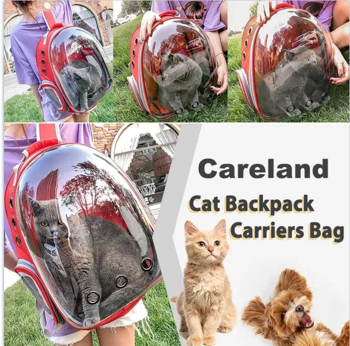 Pet Backpack