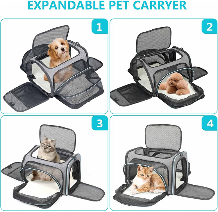 Pet Carrier Detail