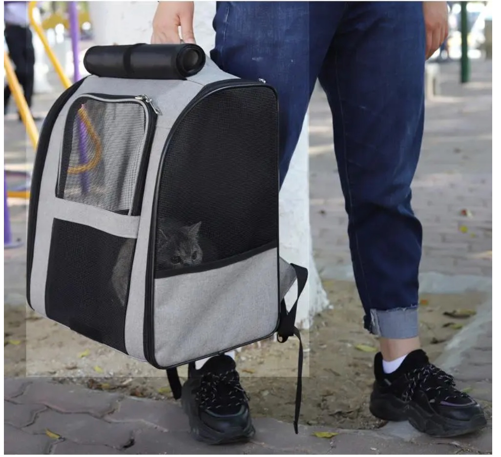 OEM Custom Outdoor Breathable Large Capacity Luxury Travel Cat Pet Backpack