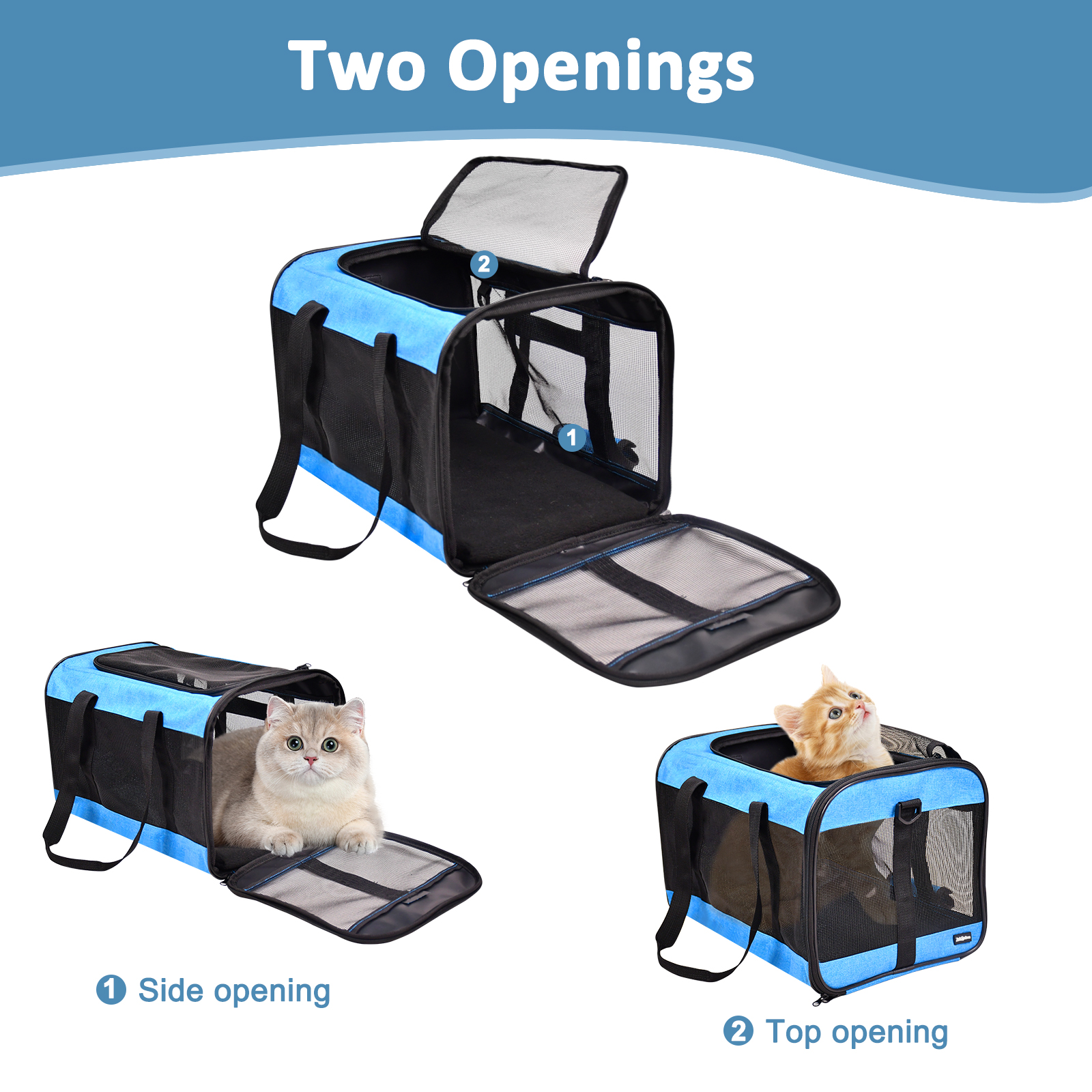 Cat carrier details 6