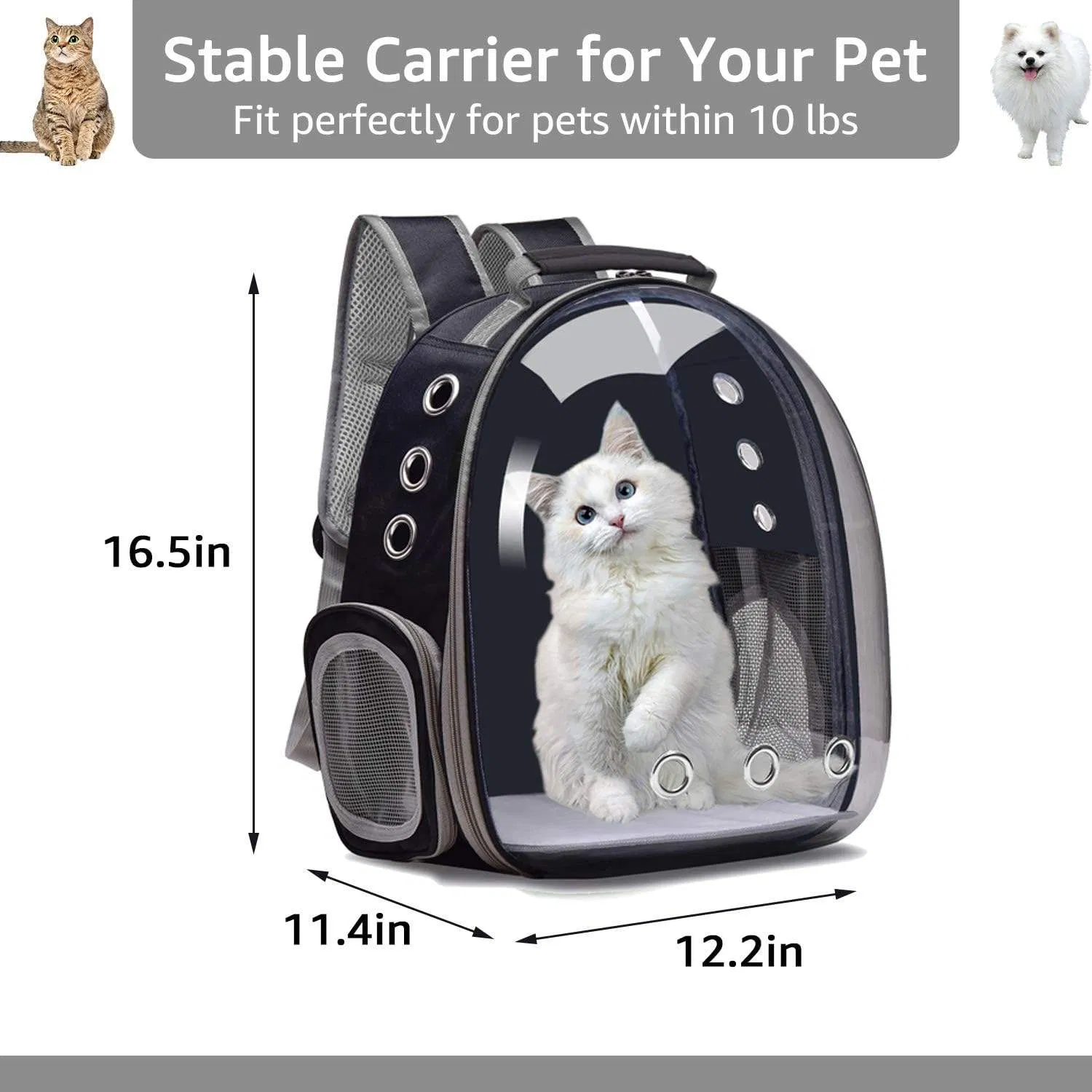 New Portable and Breathable Cat and Dog Small Pet Backpack with Three Outlets for Outdoor Travel