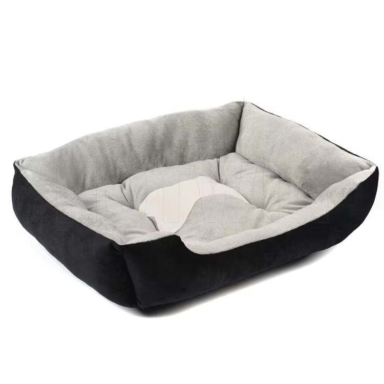 Pet Product 6
