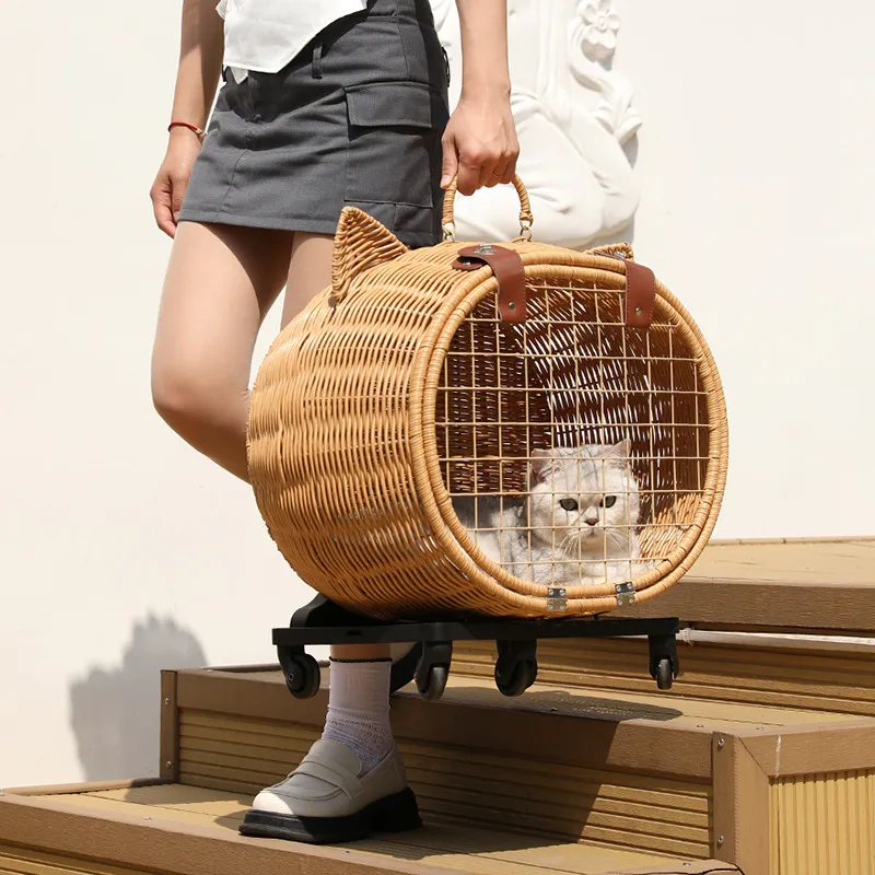 Pet Carrier 3