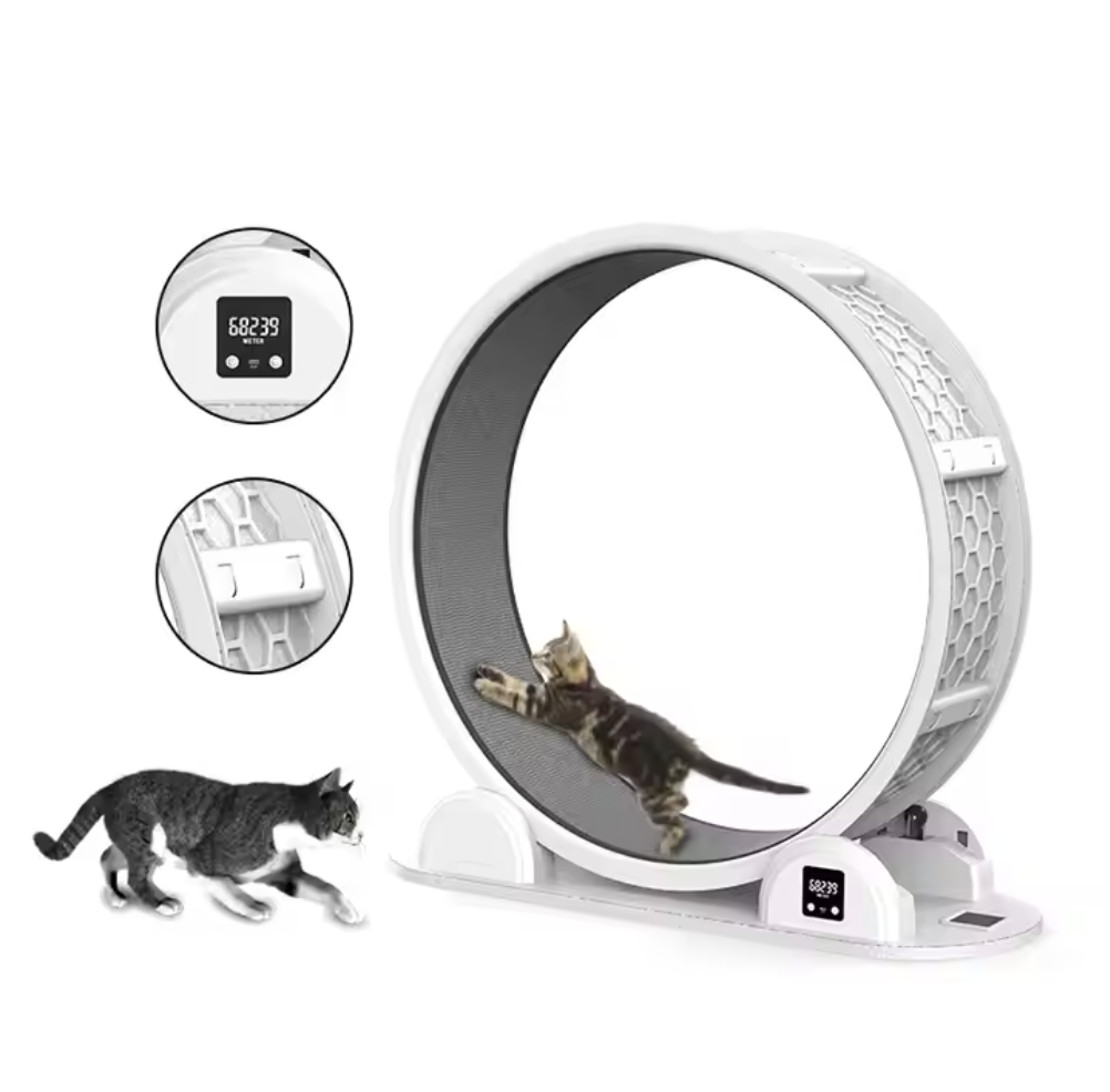 High Quality Interactive Cat Exercise Running Wheel Silent Cat Climbing Frame Modern Luxury Cat Wheel Treadmill