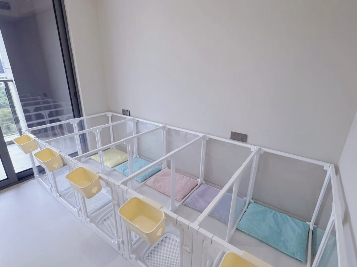 Transparent Plastic Classic Modern Dog Cage Button Closure Solid Design Medium/Small Dogs Eco-Friendly Pet Playpen Indoor