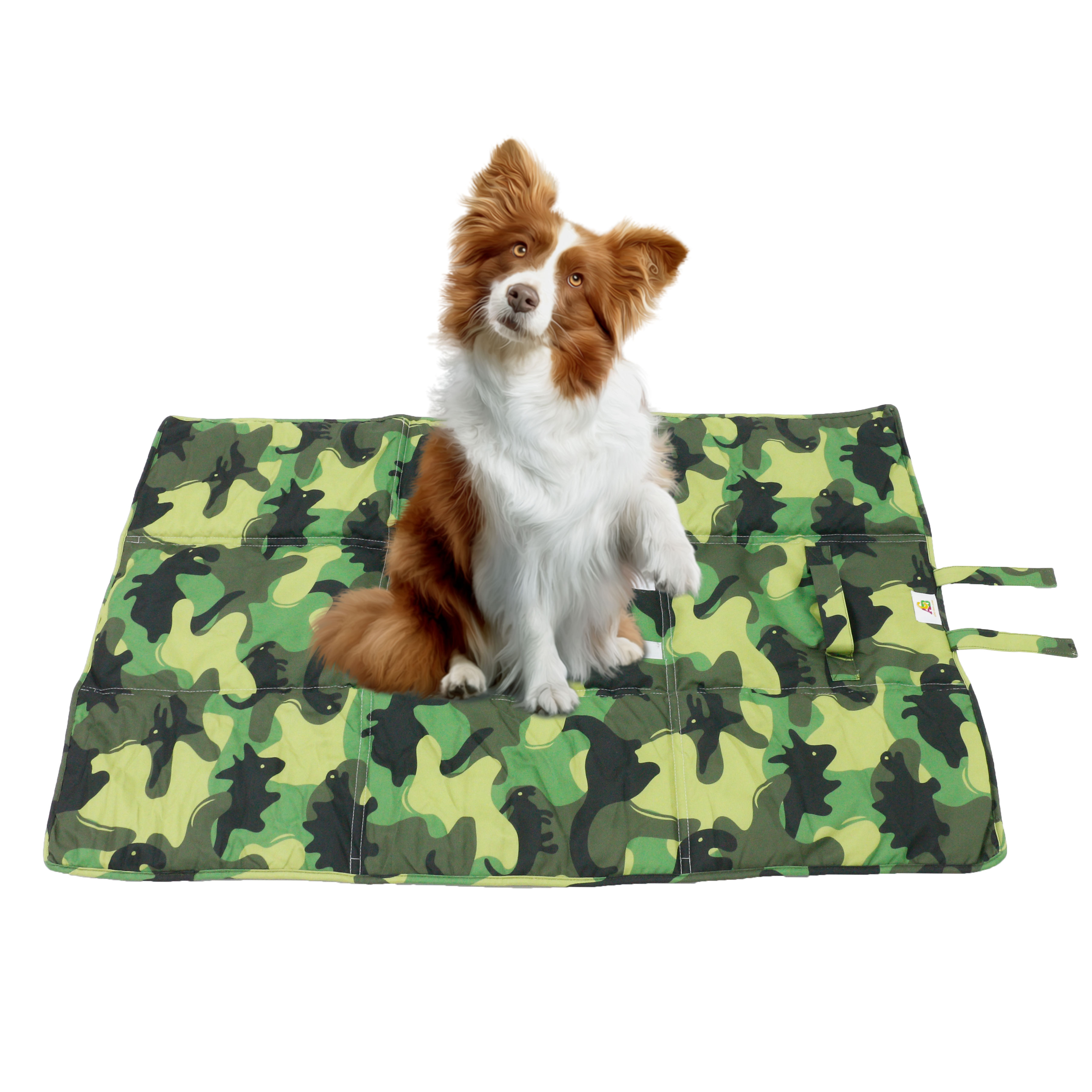 Pet portable mat