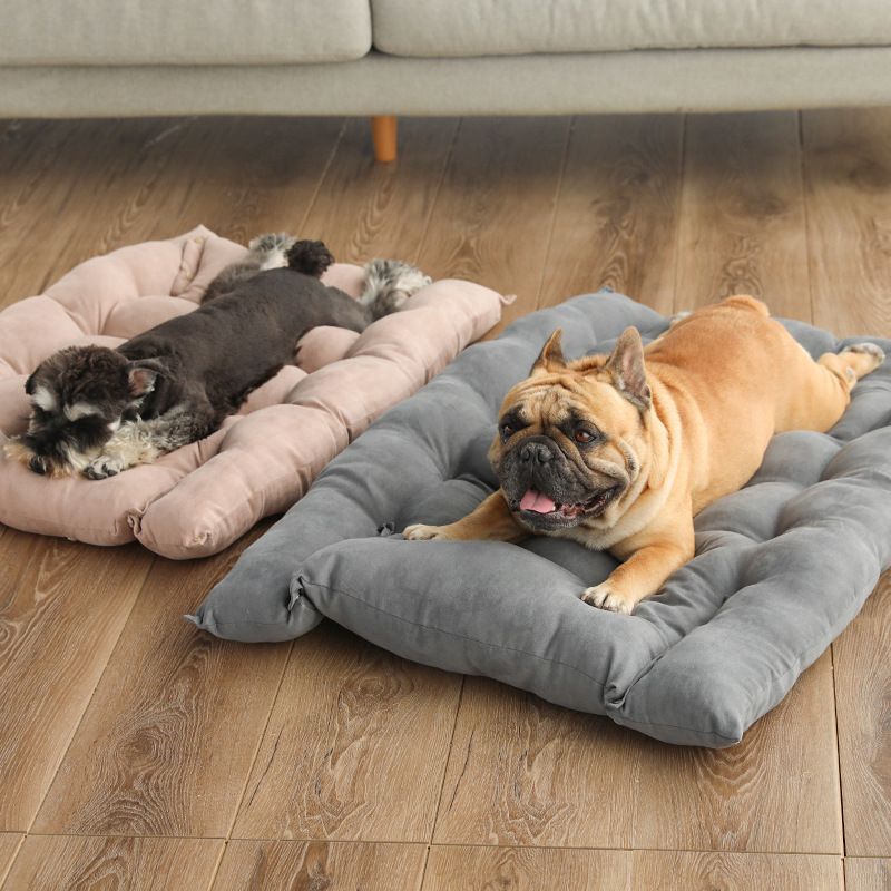 Foldable Luxury Dog Sofa Bed Solid Rectangle Eco-Friendly Modern Washable Portable Large Cushion 100% Cotton All Seasons
