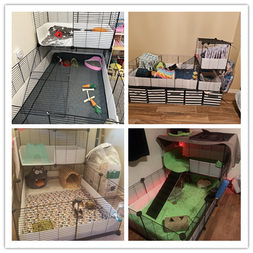 Guinea Pig Cage & Hamster Playpen Enclosure Foldable Luxury Classic DIY Layout with Stainless Steel Customizable