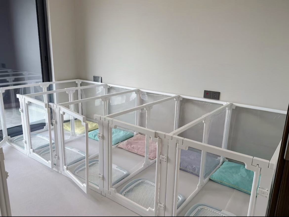 Transparent Plastic Classic Modern Dog Cage Button Closure Solid Design Medium/Small Dogs Eco-Friendly Pet Playpen Indoor