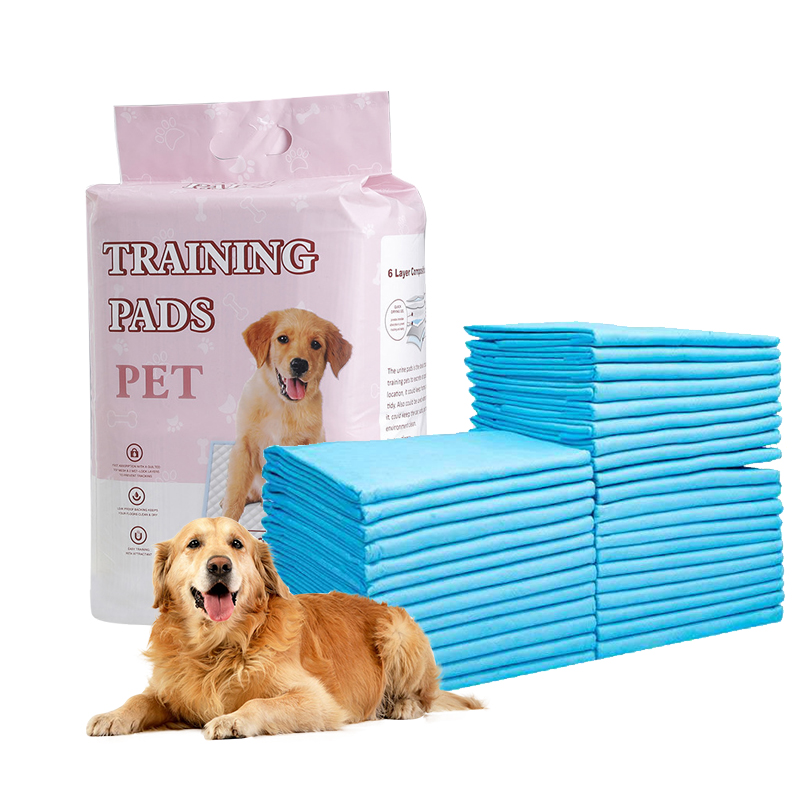 2025 Wholesale White Pink Blue Dog Pads Puppy Training Toilet Disposable Puppy Pads