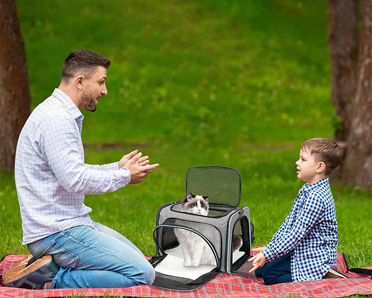 Pet Carrier Detail
