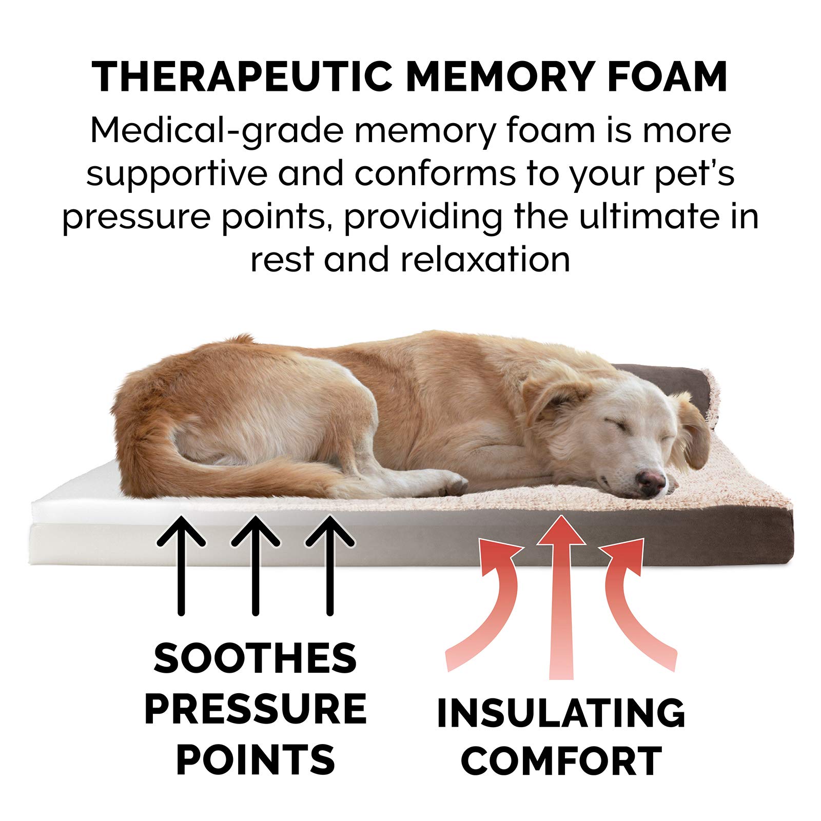 Removable Washable Cover Foam Dog Bed sofa design comfort pet cat dog bed for pets of all ages