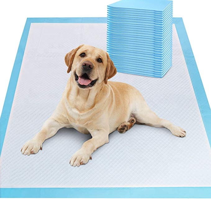 China Wholesale Dog Pet Puppy Training Pads Diaper Mats &amp; Pads