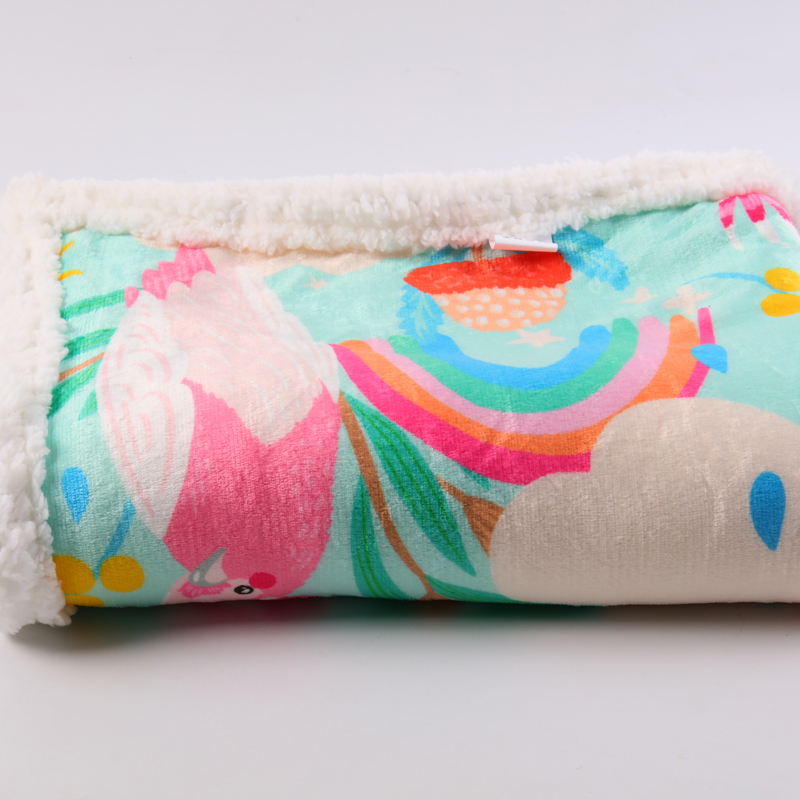 Wholesale Soft Sherpa Winter Pet Blankets Warm Cute New Designer Custom Sublimation Printed Luxury Pet Dog Blanket