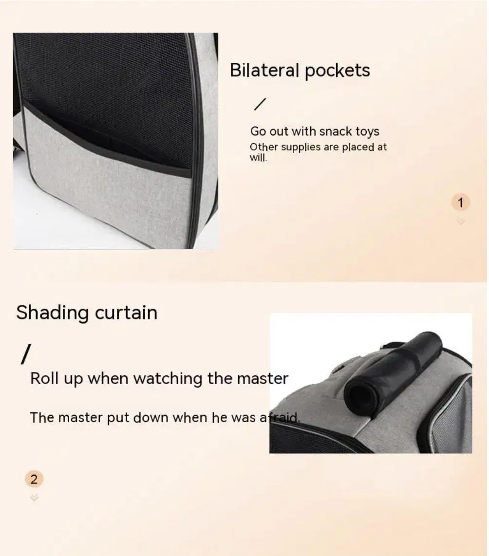 Pet Backpack 3
