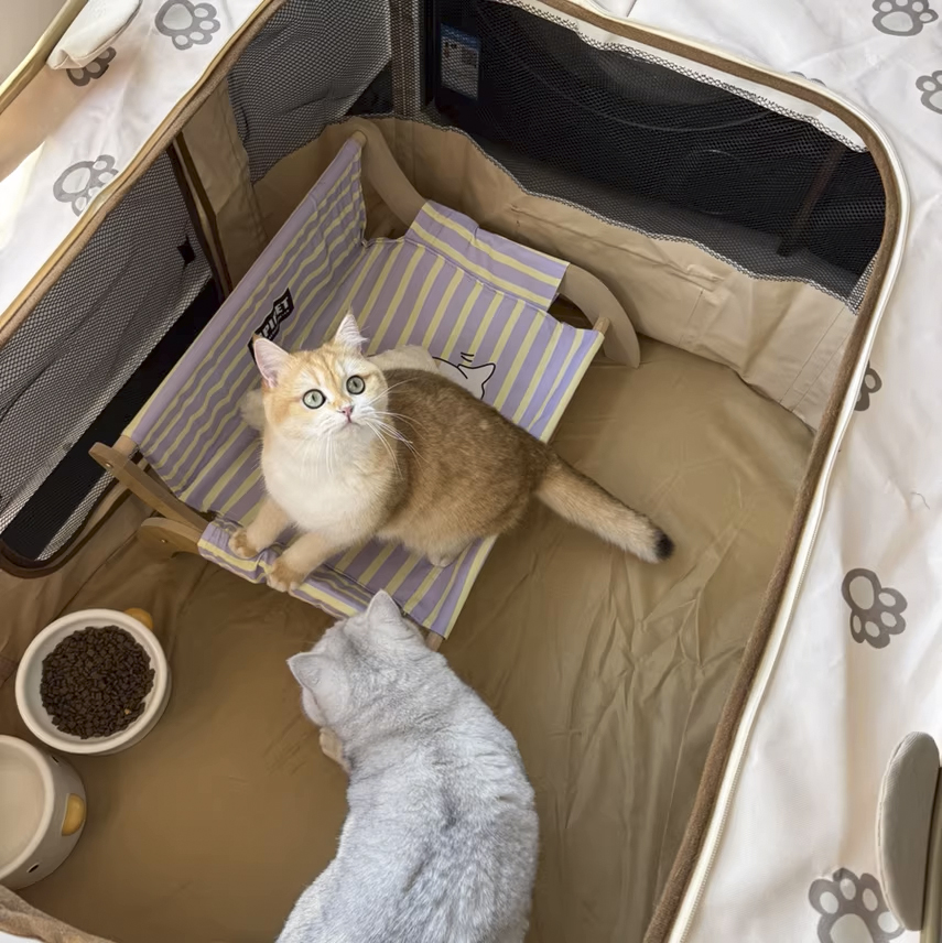 Professional Solid Play Area Removable Washable Roof Cover Multi-Panel Design Travel Small Breed Dog Playpen Cat Modern Fashion