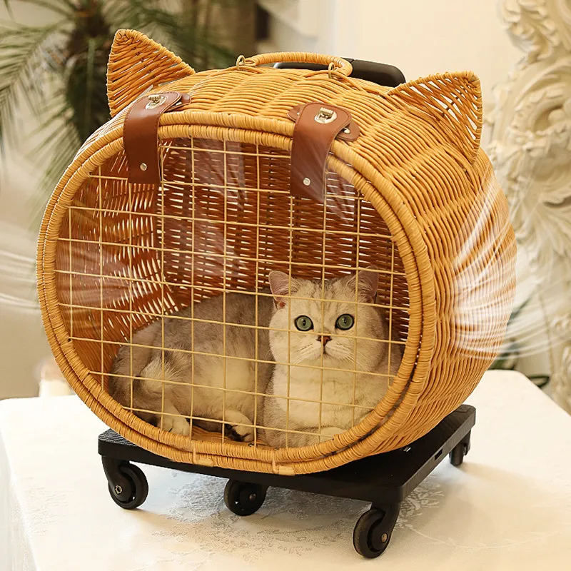 Pet Carrier 1