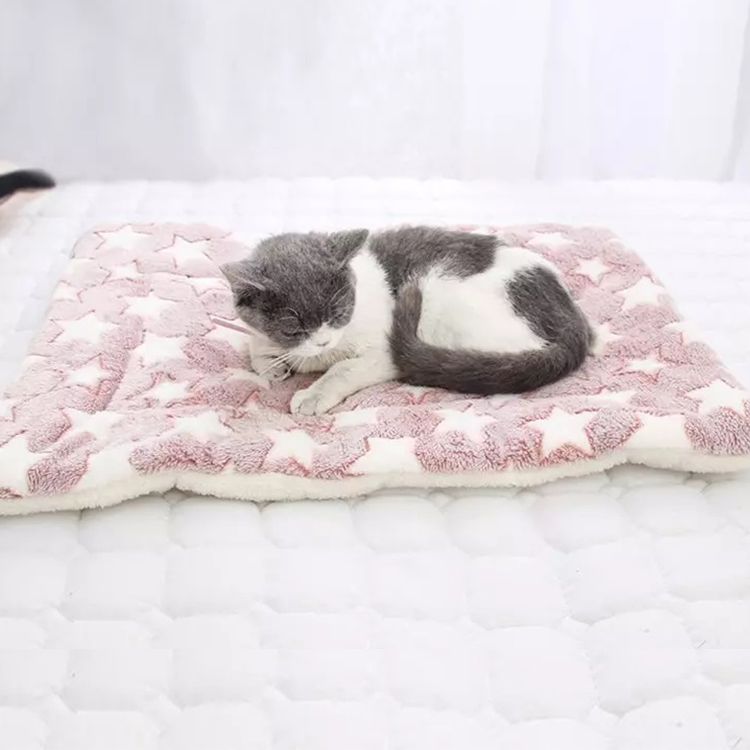Wholesale Non-slip Thicken Self Warming Dog Sleeping Mats Soft Fleece Pet Blanket Winter Dog Pet Bed Cat Mats Pads