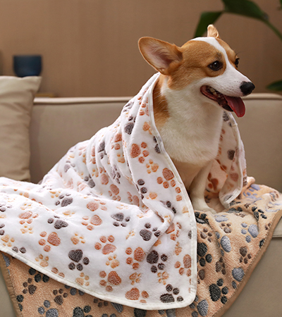 Dropshipping Extra Thick Velvet Luxury Cat Kids Dog Bed Cover Anti-Anxiety Cozy Calming Soft Print Pet Blanket Throws Foldable
