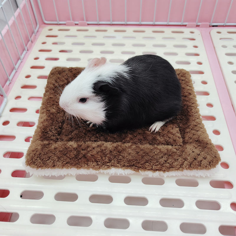 Pet Mat Gallery 6