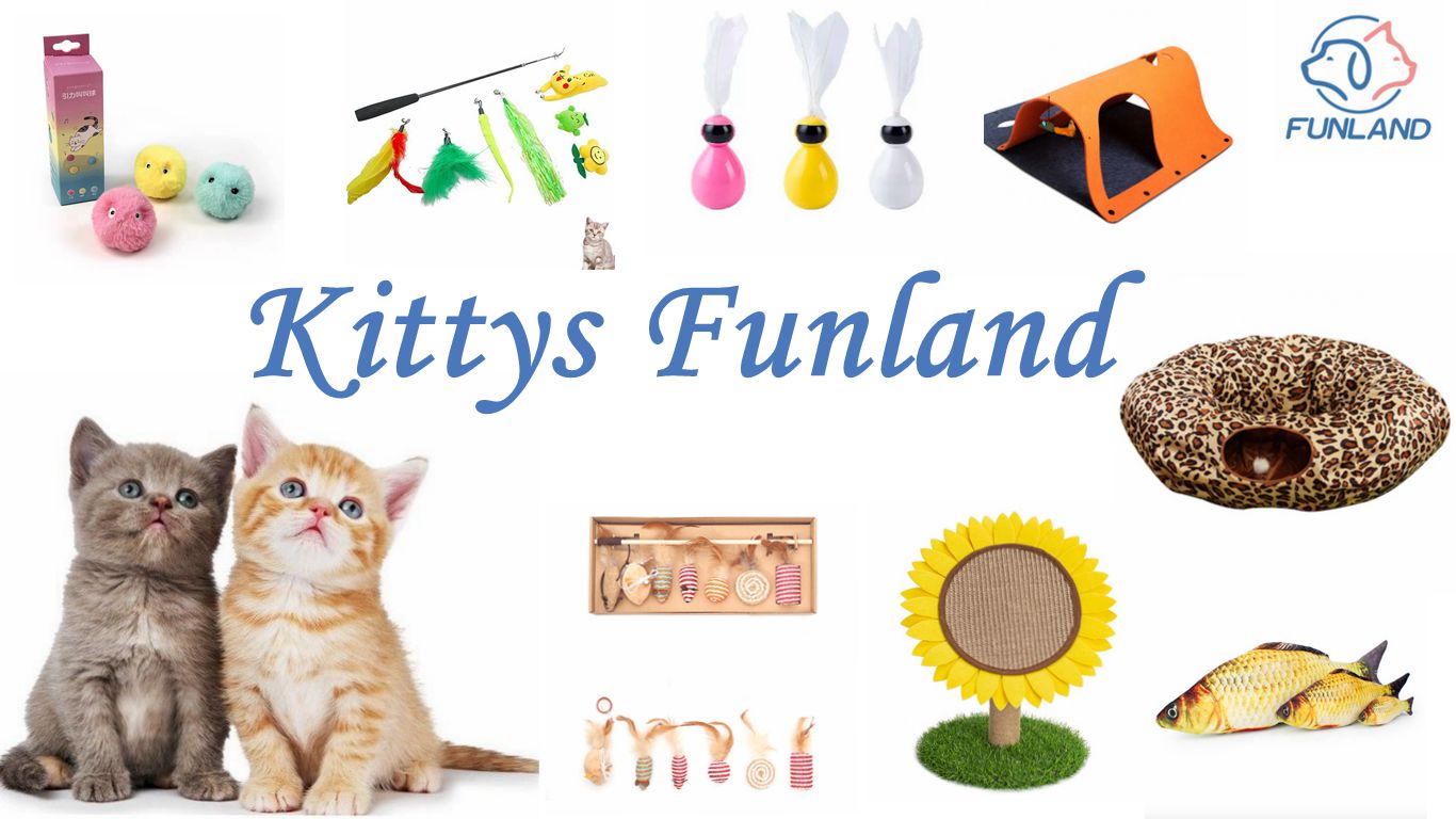 Cat Scratching Post Banner