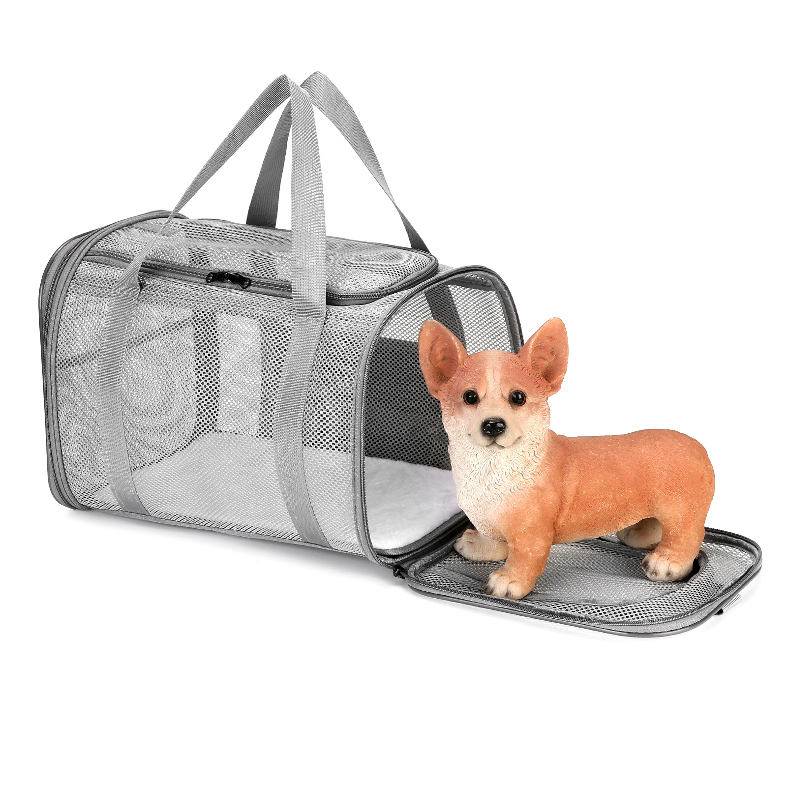 Pet Carrier Fitment Guide