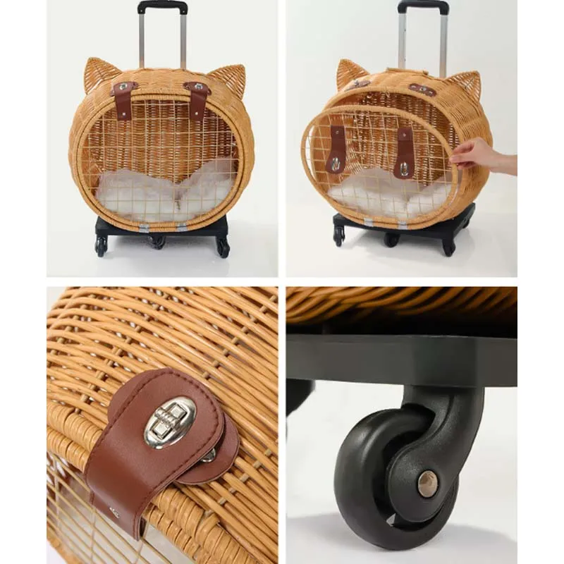 Pet Carrier 6