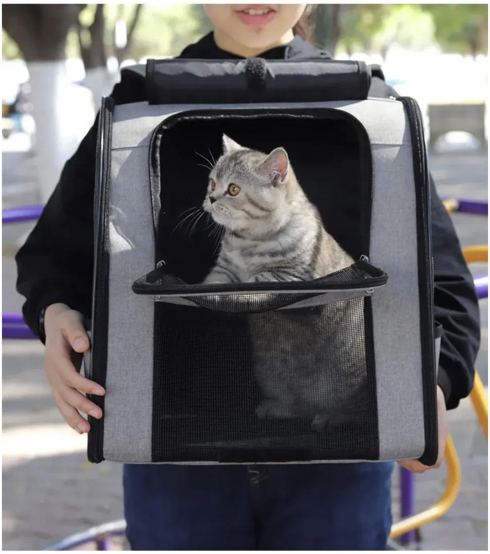 Pet Backpack 10