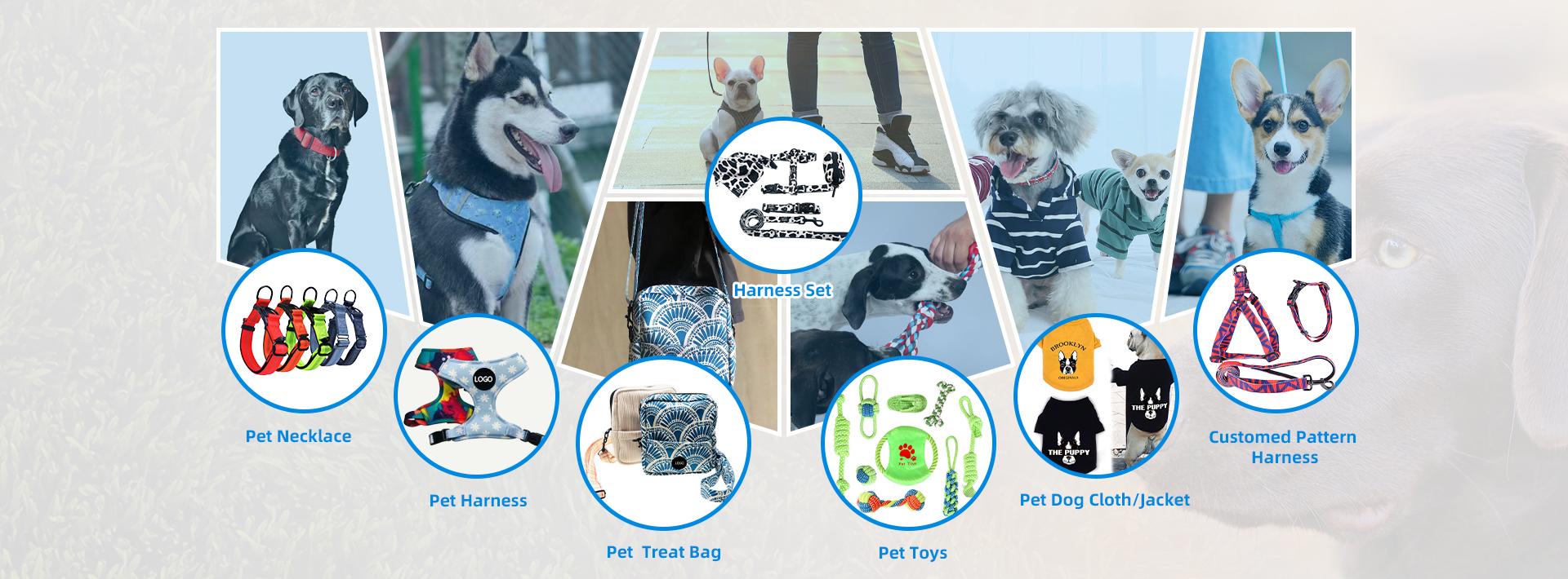 Pet Product Feature