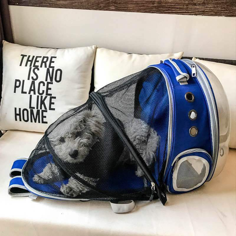 Capsule Clear Expandable Pet Cat Bag Backpack