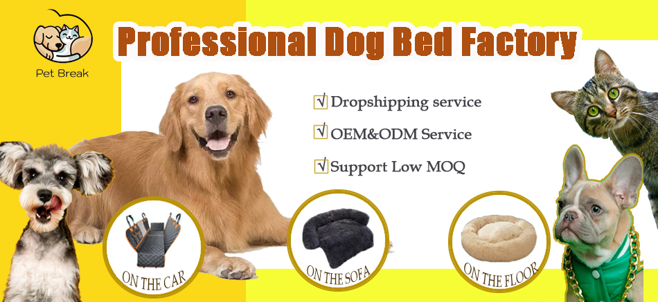 Pet Sofa Header