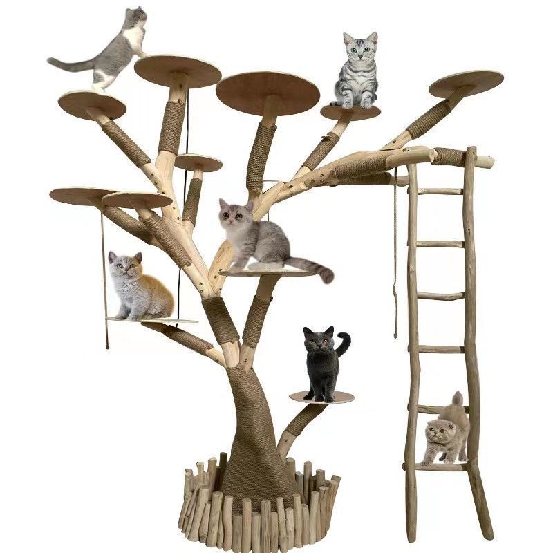 Product Description Image 3