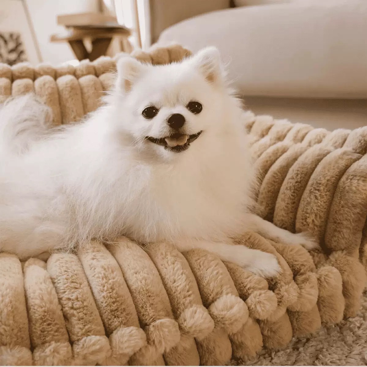 Pet Sofa-style Cat and Dog Universal Model, a Warm and Soft Pet Bed Suitable for All Seasons.
