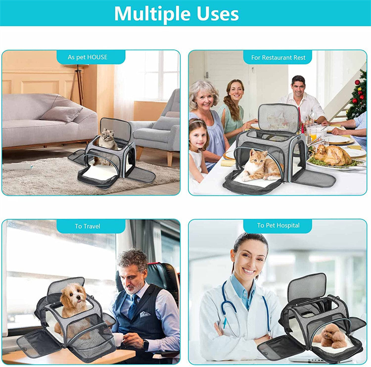 Pet Carrier Detail