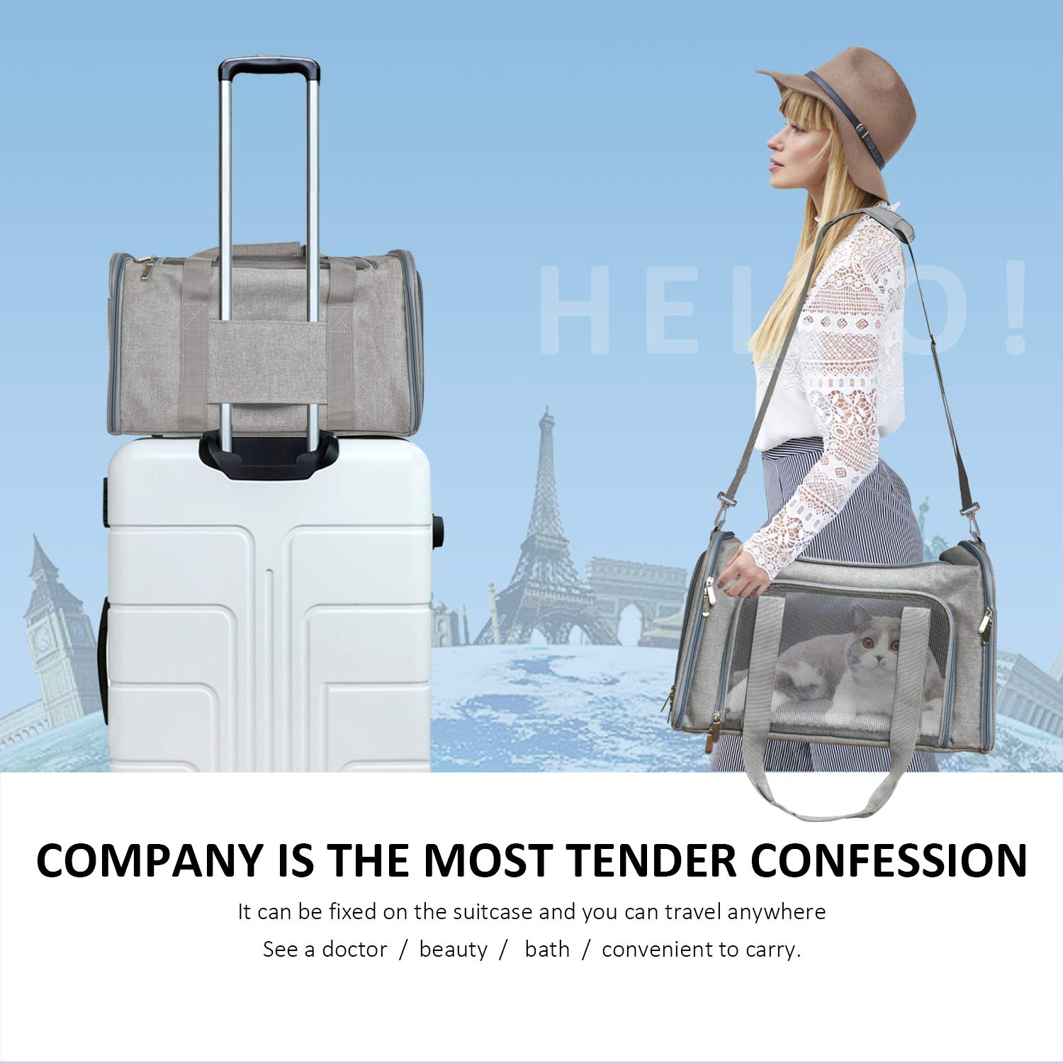 High Quality Durable Expandable Airline Approved Pet Carrier Bag Hot Sale Cat Pet Cage For Travel