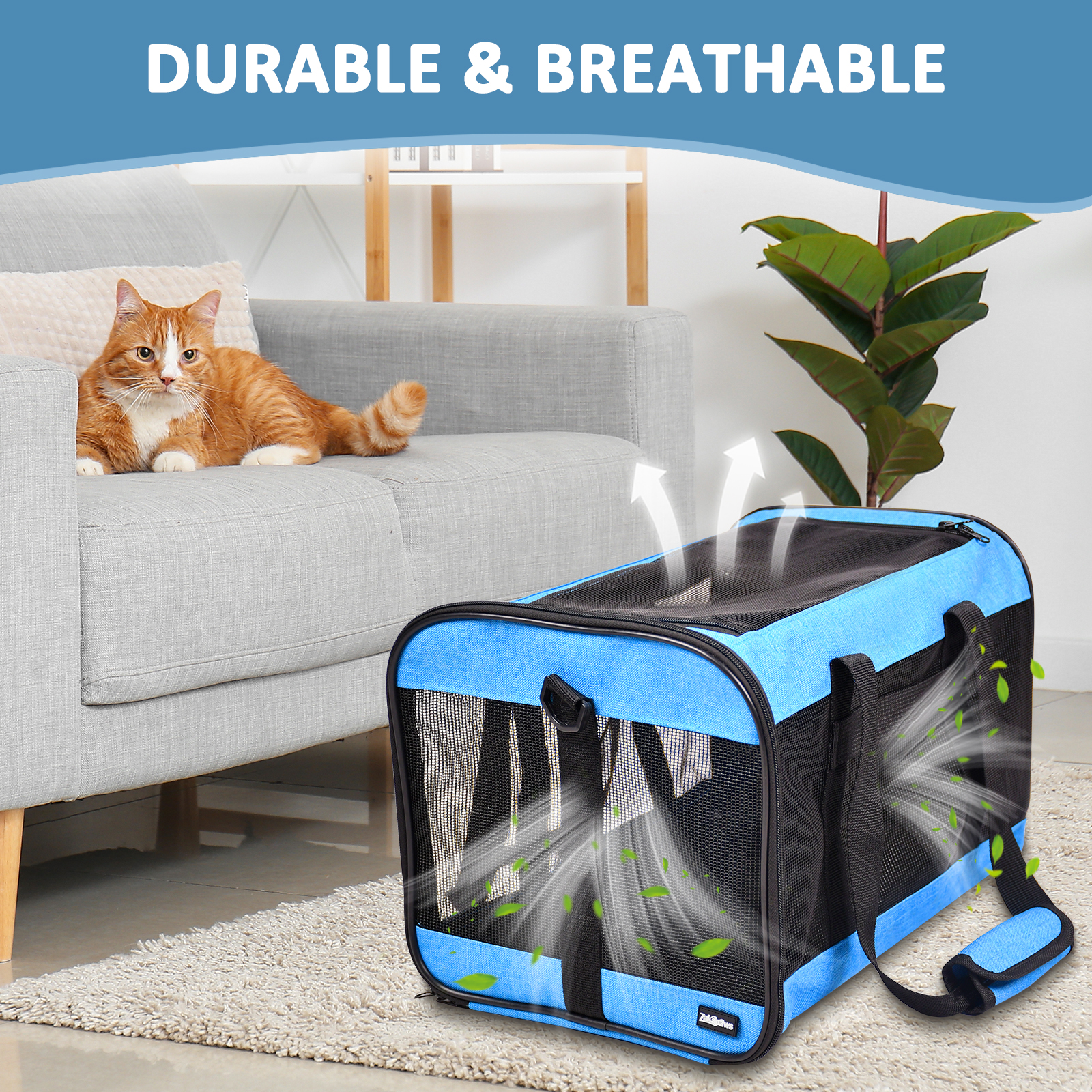 Cat carrier details 5